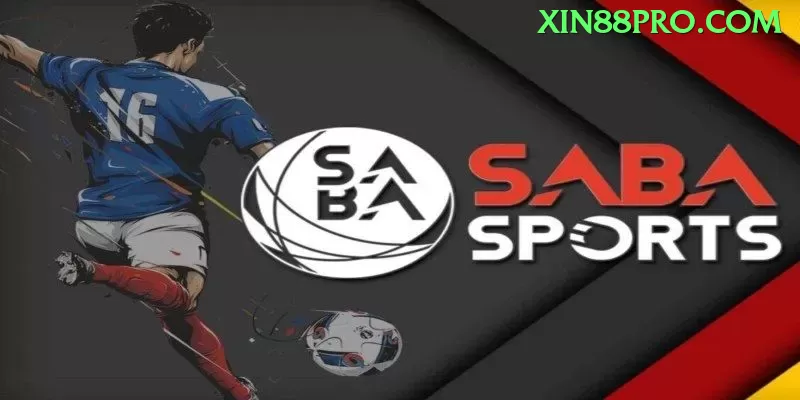 Como Funciona c81? Guia Completo e Atualizado - app